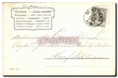 Jeune femme — couronne de feuilles et de baies — éditeur 'Serie 3014' — Verso