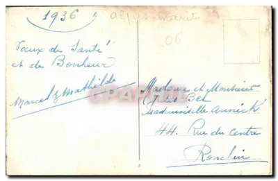 Pejzaż sosnowy — wydawca nieznany — numer serii nieczytelny — Rewers