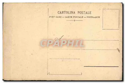 Calma (Antonietta Fragiacomo) — vista de pinos y paisaje — A. Fuzolli, editor, Milán, n.º 379 — Reverso