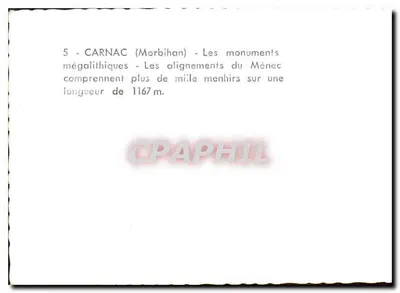 Carnac (Morbihan) — Monumenty megalityczne w Ménec — wyrównania z ponad tysiącem menhirów na 1167 m — Rewers