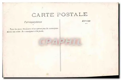 Floresta densa — vista da floresta — Carte postale Bilhete postal antigo — Verso