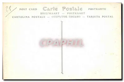 Katedra w CHARTRES — Ślijak, który czuwa (szczegół) — ND Fot. nr 508 — Rewers