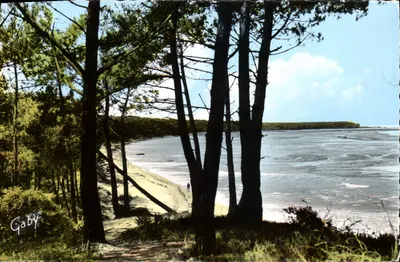 Les Pins et la Pointe Espagnole — Ronce-les-Bains — Edições Gaby