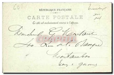 Beauvais — Katedra Świętego Etienne — Nef — Rewers