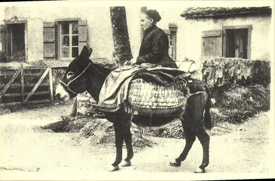 Mulher em jumento — Gascogne — Édito-Service S.A. n° D2 465 62 01