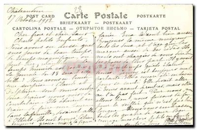 Chartres — Katedra — ND Fot. — Rewers