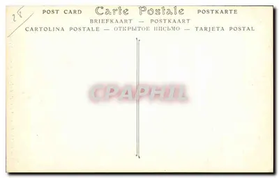 Chartres — Katedra. Anioł Meridianu (szczegółowy) — Rewers