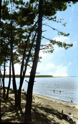 Ronce-les-Bains — Vista da praia e do lago — Cie des Arts Photomécaniques