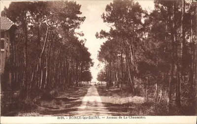 Ronce-les-Bains — Avenida de La Chaumière — editor Ramamad, n° 3118
