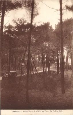 Ronce-les-Bains — Floresta do Galon d'Or — Editor Raymond Bergevin, n° 15980-597
