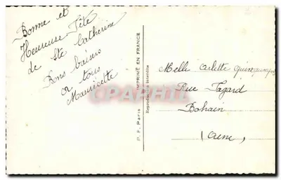 हँसती युवा महिला - एक गुलाब के साथ - P.F. संख्या 916 — पीछे