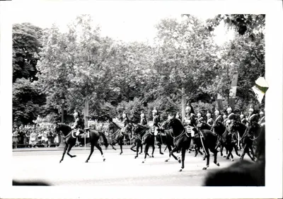 Cavalaria em parada — Evento militar