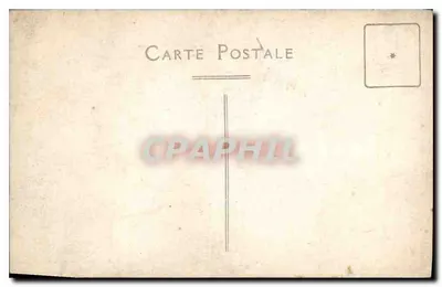 Grupo de quatro pessoas — pose sobre troncos de árvores — Carte Postale — Verso