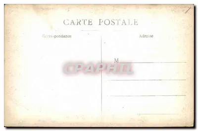 Vista del mare sotto un pino — editore non identificato — Verso