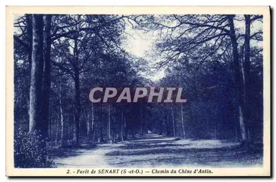 Floresta de SENART (S-et-O) — Caminho do Carvalho de Antin — Photo-Edition III, Paris