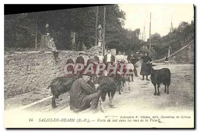 SALIES-DE-BÉARN (B.-P.) — Venda de leite nas ruas da Cidade — Livraria F. Glèdes, editor (Aluguel de Livros)