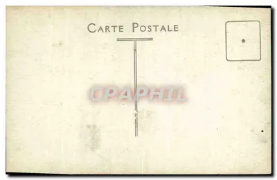 Mulher jovem — diante de um cenário de troncos de bétula — Carte Postale — Verso