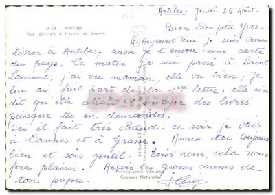 Antibes — Vista generale attraverso gli ulivi — Éditions Véritable — Verso