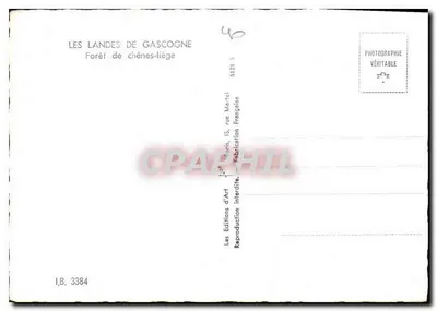 Floresta de carvalhos de liège — Les Landes de Gascogne — Les Éditions d'Art Martel, n° IB.3384 — Verso