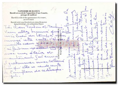 Tappeto di Bayeux — Harold avvisato dell'apparizione di una cometa — editore: Collezione Città di Bayeux — Verso