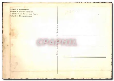 Paysage hollandais — pola tulipanowe, młyn wiatrowy, znaki drogowe i dwie kobiety w strojach tradycyjnych — wydawnictwo Gebr. Spanjersjöö N.V., Rotterdam — Rewers