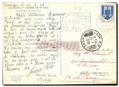 Las sosnowy — Landes de Gascogne — Wydawnictwo Jean-Jaurès — Rewers