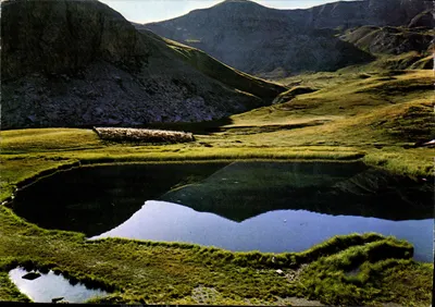 Col da Bonnette — Lago Verde e rebanho — Éditions de la Bonnette