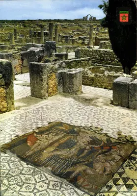 Ruínas da Casa de Vênus — Mosaicos — Editora FISA, n° 8 VOLUBILIS
