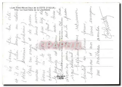 Zbieranie lawendy — Cudowne miejsca na CÔTE D'AZUR — n°111 — Rewers