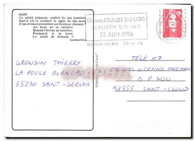 Pôr do sol — silhueta de pinheiro — editor 'Foulees du Gois' — Verso