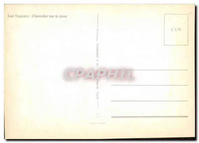 Kamle i pasterz w pustyni — Południe Tunezji — Wydawnictwo CHAMAM, Tunezja — Rewers