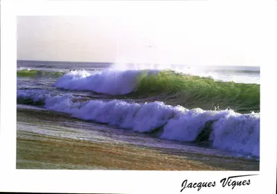 Costa da Aquitânia — Onda — Jacques Vignes