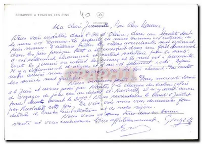 Widok plaży przez sosny — Widok przez sosny — Nieznany wydawca — Rewers