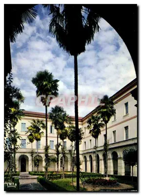 Jardim interno com palmeiras — Editor IRIS — n° 40