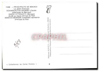 Jardim Exótico — Principado de Mônaco — Edições S.E.P.T. - 35, Boulevard Gorbella — Verso