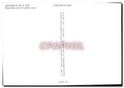 Żółte kwiaty — akwarela — B. Voz — Z 302 - 58 — Rewers