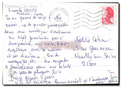 Árvore solitária — banco — Coleção 'Os Árvores' — Edição J.P. Francas — Verso