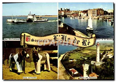 Ilha de Ré — Barco Ré-Continent, Porto de St-Martin, Farol das Baleias, Animais de Culotte — Cores Naturais