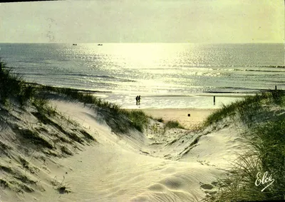 Pôr do sol sobre as dunas — La Flotte, Ilha de Ré — Editora Elcée, n°3924