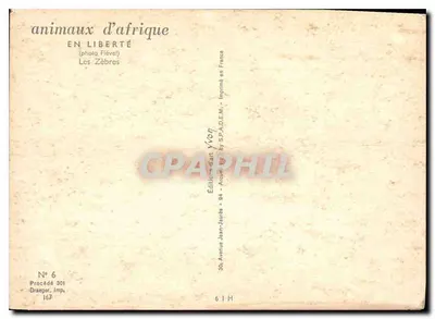 Zebra — em liberdade — Éditions Jean-Jaurès, n° 6 — Verso