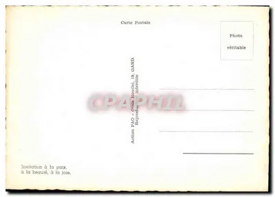 Tradycyjne domy belgijskie — widok ogrodu — Action FAO, Gand — Rewers