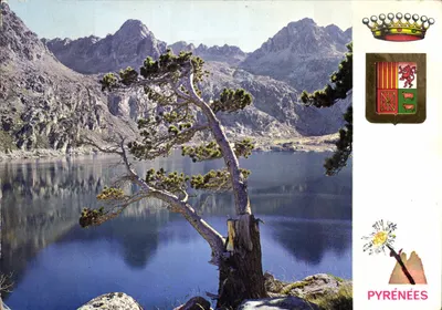 Lago das Pirineus — vista lacustre com árvore solitária — Edições de Lire