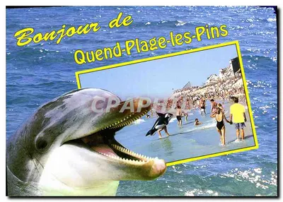 Quend-Plage-les-Pins — praia e frente marítima — ARTAUD Frères - N°158