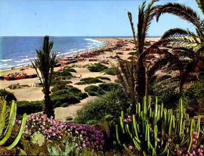 Plaza del Inglés — Gran Canaria — editor BRITO, n° 42 75