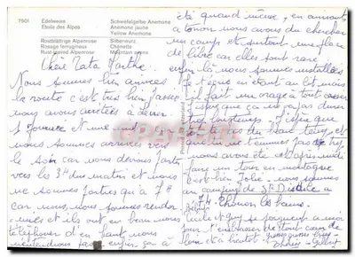 Alpejskie kwiaty — Edelweiss, Anemona żółta, Rosace żelazna, Anemona górskiego — wydawca nieczytelny — Rewers