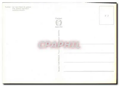 Tunisja — Sprzedawca jasminu — Spółka Cartiaghe, Tunis — Rewers