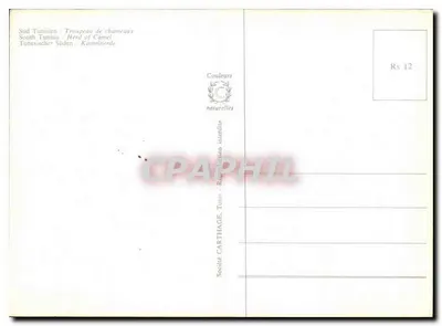 Rebanho de camelos — Sul Tunisiano — Sociedade CartHage, Tunis — Verso