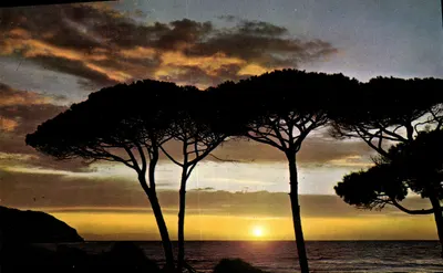 Amanecer sobre el Mediterráneo — Ediciones S.E.P.T. — NICE