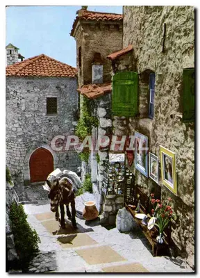 Rue pittoresque en Juan-les-Pins — editor Éditions S.E.P.T. n°25