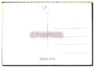 Castelli della Loira — Ricordo dei Castelli della Loira — Editore non visibile — Verso